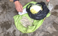 Bắt giữ đối tượng tàng trữ thuốc bom, thuốc nổ