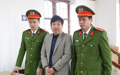 Một giám đốc doanh nghiệp bị bắt vì hủy hoại rừng