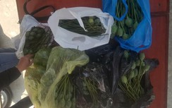 Bán quả thuốc phiện trên facebook, thiếu nữ có nguy cơ bị truy tố