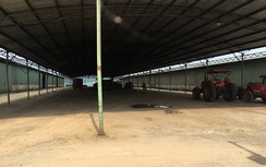 Bắt nguyên Tổng giám đốc "siêu" dự án chăn nuôi ở Hà Tĩnh