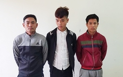 Hà Tĩnh: Liên tiếp phá được các chuyên án… trộm cắp trâu bò