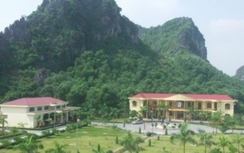 Hải Phòng: Học viên cai nghiện treo cổ tự tử