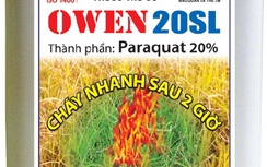 Thảm án Hải Dương: Tin chính thức mẹ giết 2 con rồi tự tử