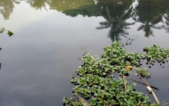 Tranh thủ trước bão, nước thải khu công nghiệp ồ ạt chảy ra sông