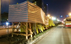 Rồng phản cảm ở Hải Phòng được phủ bạt, chờ tháo hoa giả