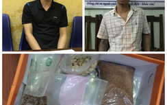 Hải Phòng: Sản xuất ma túy bán cho thị trường chợ đen