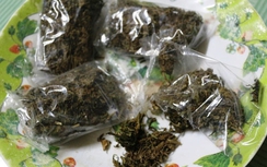 Bắt chiến sĩ cảnh sát PCCC bán cần sa cho con nghiện