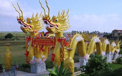 Cận cảnh phủ thờ không phép có đôi rồng khổng lồ ở Thái Bình