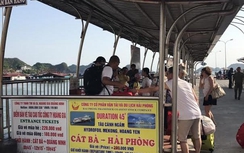 Hàng trăm khách bị bỏ rơi tại đảo Cát Bà