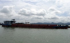 Hải Phòng: Bán đấu giá 39 container than bất hợp pháp, sung công quỹ