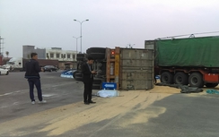 Xe container mất lái lật nghiêng, hàng chục tấn cám tràn ra đường