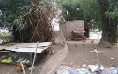 Vợ phát hiện chồng chết trong trạng thái treo cổ tại trang trại cá