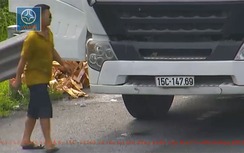 Dừng xe trên cao tốc Hà Nội - Hải Phòng... đổ trộm rác