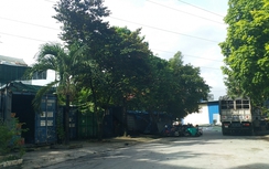 Hải Phòng: Doanh nghiệp, người dân đua nhau chiếm đất công