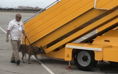 Tân Sơn Nhất thắt chặt an ninh tiễn Tổng thống Obama rời Việt Nam