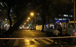 Cây cổ thụ bật gốc giữa Sài Gòn, giao thông ùn ứ nghiêm trọng