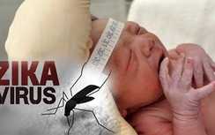 TP.HCM: Thêm hai quận, huyện phát hiện ca nhiễm virus Zika
