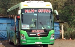 Tạm giữ xe khách “chạy dù”, tài xế không có GPLX