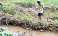 Người rộp da, cá chết không phải do nhà máy Alumin Nhân Cơ?