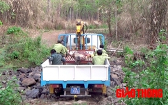 Nguyên nhân ban đầu vụ cán bộ bảo vệ Vườn Yok Don tử vong