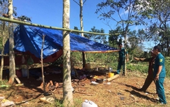 Sét đánh trúng chòi rẫy khiến 3 người thương vong