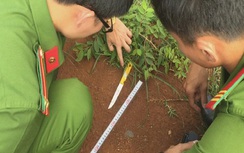 Cầm dao đâm chết bạn nhậu vì gây ồn ào, không cho mình ngủ