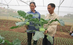 Bảo đảm an toàn thực phẩm là mong đợi của người dân