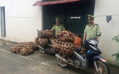 Vạch mặt thủ đoạn của giới buôn lậu tại cửa khẩu