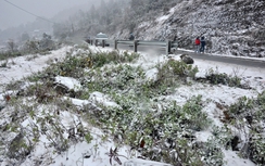 Sa Pa chìm trong đợt rét khủng khiếp nhất lịch sử