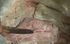 Bắt nửa tấn nầm lợn thối từ biên giới tuồn vào nội địa