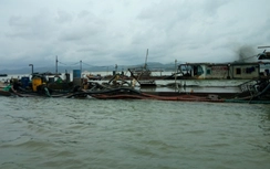 Bí thư Quảng Ninh "đột kích" 50 tàu hút cát trái phép