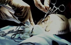 Sự thật "16 vụ bắt cóc, mổ nội tạng” vùng biên giới Việt -Trung?