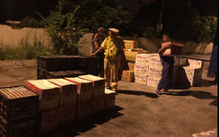 Quảng Ninh: Thu giữ hơn 7 tấn hoa quả không có nguồn gốc