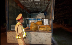 Quảng Ninh: CSGT liên tiếp bắt giữ lượng lớn hoa quả lậu