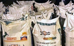 Đột kích "vườn thuốc nổ" lớn ở Quảng Ninh