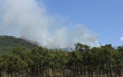 Quảng Ninh: Rừng thông tại chùa Lôi Âm bốc cháy dữ dội