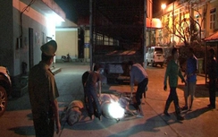 Liên tiếp bắt xe vận chuyển lợn chết quay đầu từ cửa khẩu