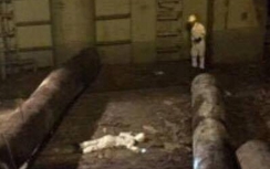 Thuyền phó người Trung Quốc tử vong tại Quảng Ninh