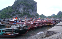 Quảng Ninh: 9h sáng mai bắt đầu cấm tàu trên vịnh Hạ Long