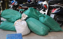 CSGT truy bắt chủ lô hàng vẩy tê tê trong đêm