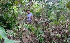 Nghi phạm giết hai bố con dã man ở Lạng Sơn đã tự tử?