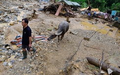 Mưa lũ ở Tây Bắc:Gần 100 ngôi nhà hư hỏng, giao thông ách tắc
