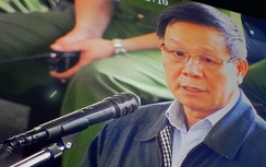 Ông Vĩnh: Lương 20 triệu/tháng, đồng hồ 1,1 tỷ mua bằng tiền bán cây