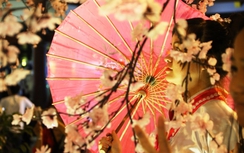 Bạn trẻ hào hứng "khoe sắc" bên hoa anh đào