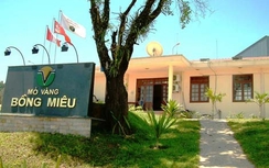 Chây ì trả nợ thuế, vàng Bồng Miêu bị đóng cửa