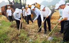 Chủ tịch Đà Nẵng cầm cuốc dọn vệ sinh đường phố, đón APEC