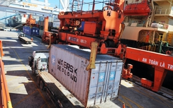 Cảng Quy Nhơn lợi gì khi vận hành cẩu trục 200 tỷ đồng?