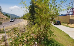 Cận cảnh "đường lậu" resort lấn hành lang đường bộ QL1D