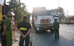 Bình Dương: Điều tra 3 xe container mang biển số đỏ giả