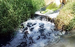 Vũng Tàu: Niêm phong xưởng nhuộm xả thải gây ô nhiễm